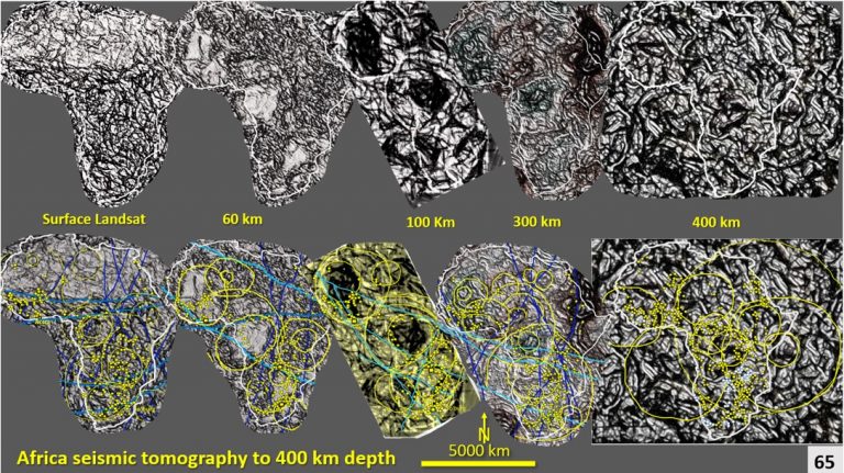 Part 11. A new concept of African evolution based on evidence from the ...